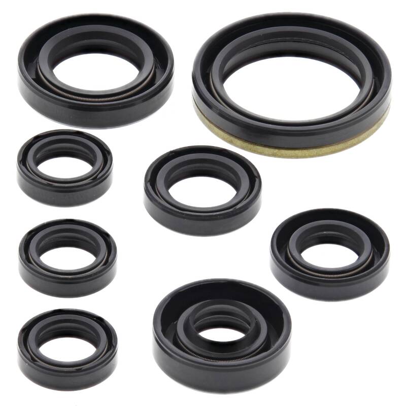 Vertex Pistons 822175 - Vertex Gaskets 01-13 Yamaha WR250F Oil Seal Kit Vertex Pistons 822175 - Vertex Gaskets 01-13 Yamaha WR250F Oil Seal Kit