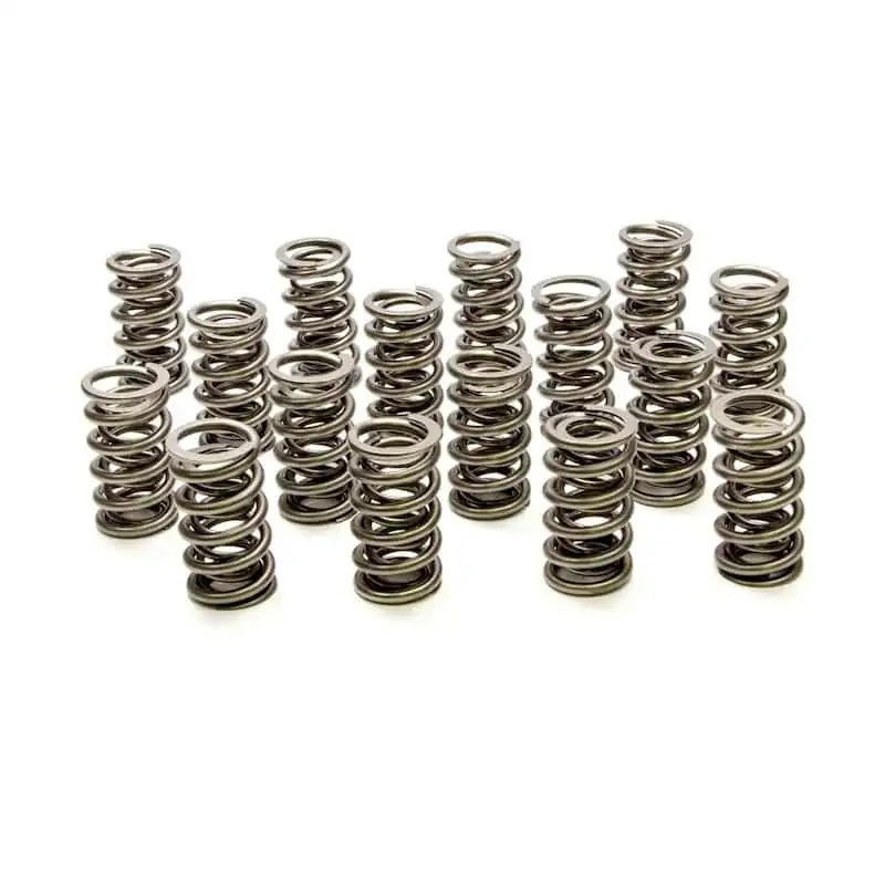 PAC Racing PAC-1222X-16 - Dual Valve Springs - GM LS (16)