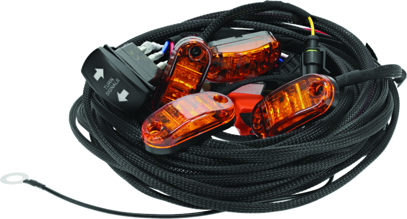 DragonFire Racing 522043 - Whip Harness - 4 Seat- Dual