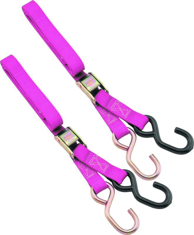 BikeMaster 100503 - 1in Tiedown - Pink