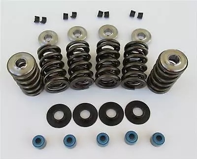 Cam Motion VSK142201 - LS Dual Valve Spring & Retainer Kit