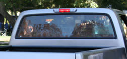 Brothers Trucks RGR87LGCLEAR - Rear Window Glass - Clear Brothers Trucks RGR87LGCLEAR - Rear Window Glass - Clear