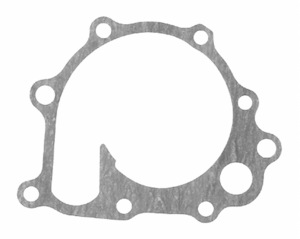Mahle K31166