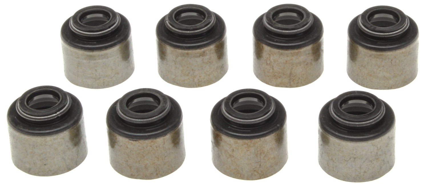 Mahle SS45675