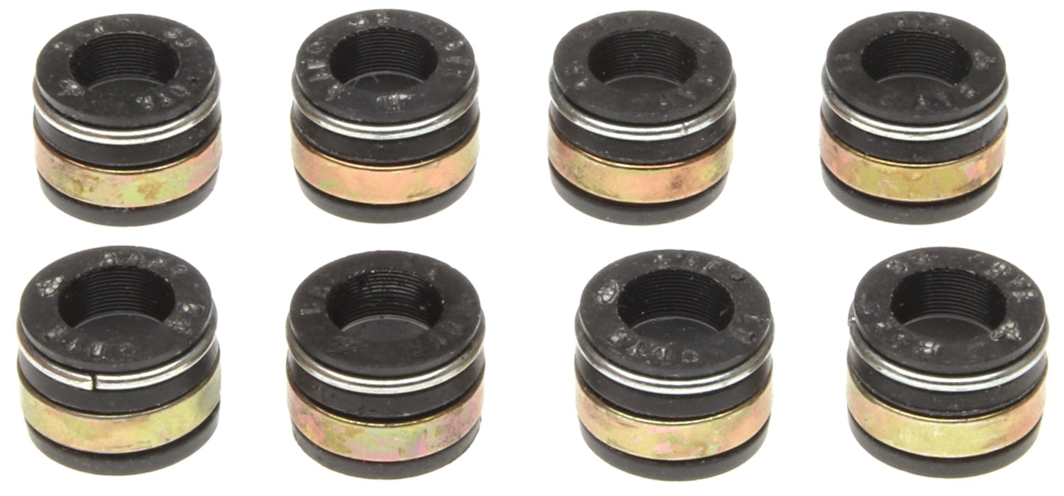 Mahle SS45546