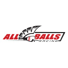 All Balls Racing 20-1077 - Harley 6205 Individual Wheel Bearing