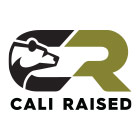 Cali Raised LED CR4387 - Cali Raised 2025+ Toyota 4Runner Step Edition Rock Sliders