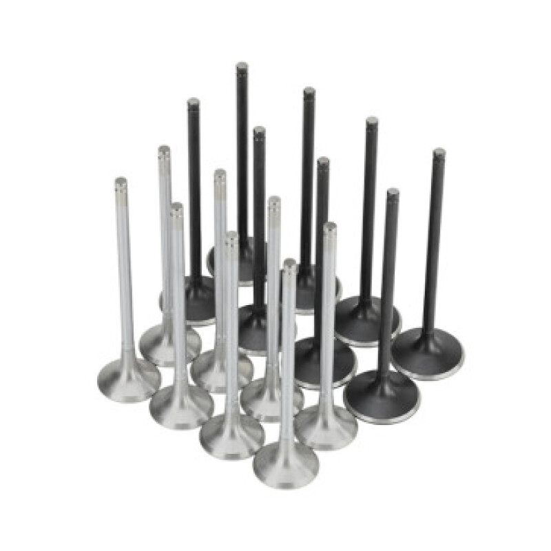 Skunk2 310-05-2000 - Honda K20C1 Alpha Series Intake & Exhaust Valve Set (Standard Compression)