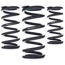 AST AST-140-100-61 - Linear Race Springs - 140mm Length x 100 N/mm Rate x 61mm ID - Single