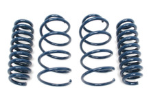 Dinan D100-0919 - Performance Coil Spring Set
