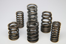 Ferrea S10169 - Infiniti VR30DDTT Single Valve Spring - Set of 24