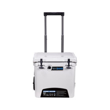 Husky Towing BDCR45 - 45 Quart/ 60 Can Capacity/ 24-3/8 In Width x 22 In Height x 18-3/8 In Depth