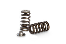 Kelford KVS02-BT - 2J racing valve spring and Titanium retainer set