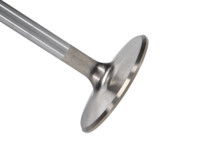 Manley 11520-8 - Big Block Chevy Stock 3/8in Stem Diameter Severe Duty Intake Valves (Set of 8)