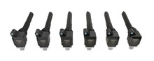MSD 827063 - Direct Ignition Coil Set