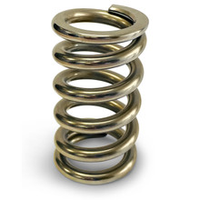 Proform BB1902 - Calibrated Test Spring Medium 50-450lbs
