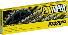 ProTaper 023101 - Chain 420MX 134L