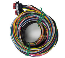 Racepak 580-CA-HARNST - Street SmartWire Wire Harness