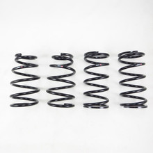 RS-R T591D - 2021+ Lexus IS350 F-Sport (RWD) Down Sus Springs