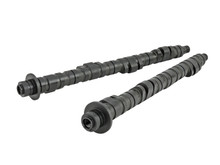 Skunk2 305-05-5305 - Pro Series 2 Honda S2000 F20C/F22C Camshafts