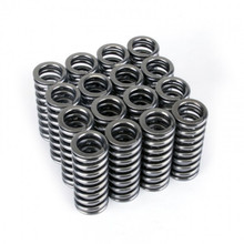 Skunk2 311-05-1345 - Alpha Series Honda D Series VTEC Valve Spring Set