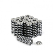 Skunk2 344-05-1350 - Alpha Series Honda/Acura D Series Valve Spring and Titanium Retainer Kit