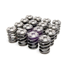 Skunk2 344-05-1410 - Alpha Series Honda/Acura K Series Valve Spring and Titanium Retainer Kit
