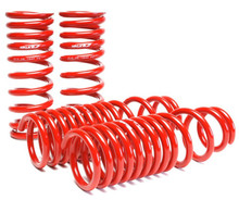 Skunk2 519-05-1640 - 90-93 Acura Integra Lowering Springs (2.50in - 2.25in.) (Set of 4)