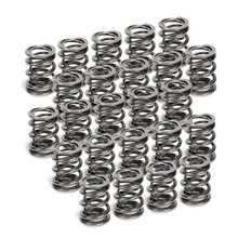 Supertech SPR-H1005D-24 - BMW M50/M52/S50/S52 Dual Valve Spring - Set of 24