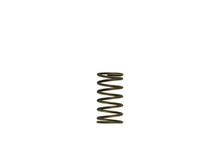 Turbosmart TS-0550-3089 - WG60 Gen-V 3psi Inner Spring