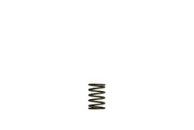 Turbosmart TS-0550-3081 - Gen-V WG38/40 3psi Black Inner Spring