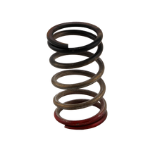 Turbosmart TS-0550-3112 - Gen-V WG40/45 HP 40 PSI Spring Upgrade - Black/Red