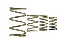 Turbosmart TS-0550-3150 - Gen V WG38/40 Spring Replacement Kit