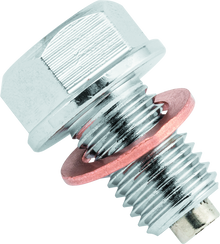 BikeMaster 151887 - Magnetic Oil Drain Plug 10x1.25mm - Stainless