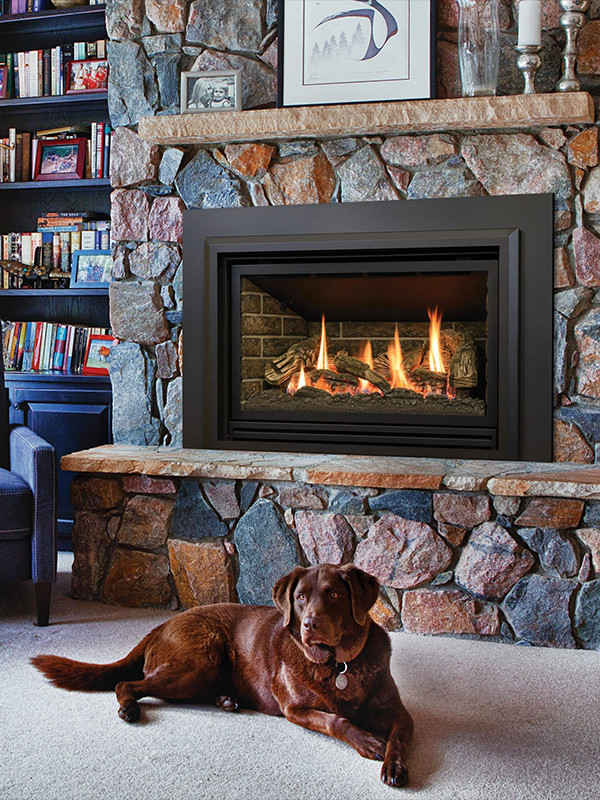 Kozy Heat Chaska 335S Gas Insert Fireplace in Millivolt