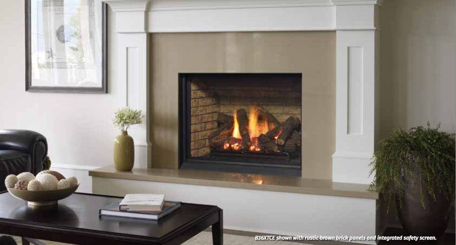 ペテンシー Ridgid-