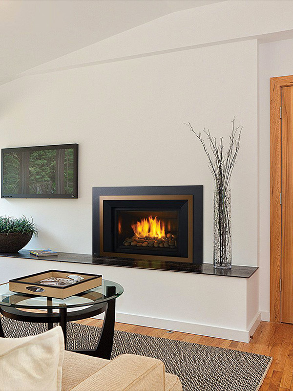 Regency® Liberty® LRI3E Gas Insert