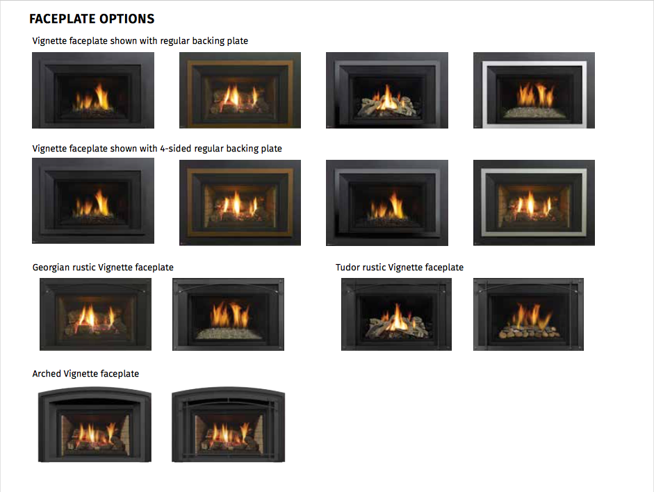 Regency® Horizon® HRI4E Gas Insert ( HRI4E)