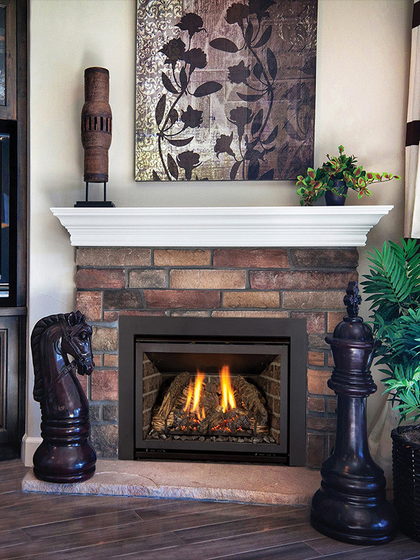 Kozy Heat Chaska 25 Gas Insert - Westchester Fireplace & BBQ