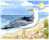 Sea Gull Two