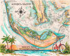 Charting Sanibel Island copyright Donna Elias