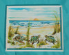 Three Turtles copyright Donna Elias in 11" x 14" Rustic White Sand Dune Fence Frame.