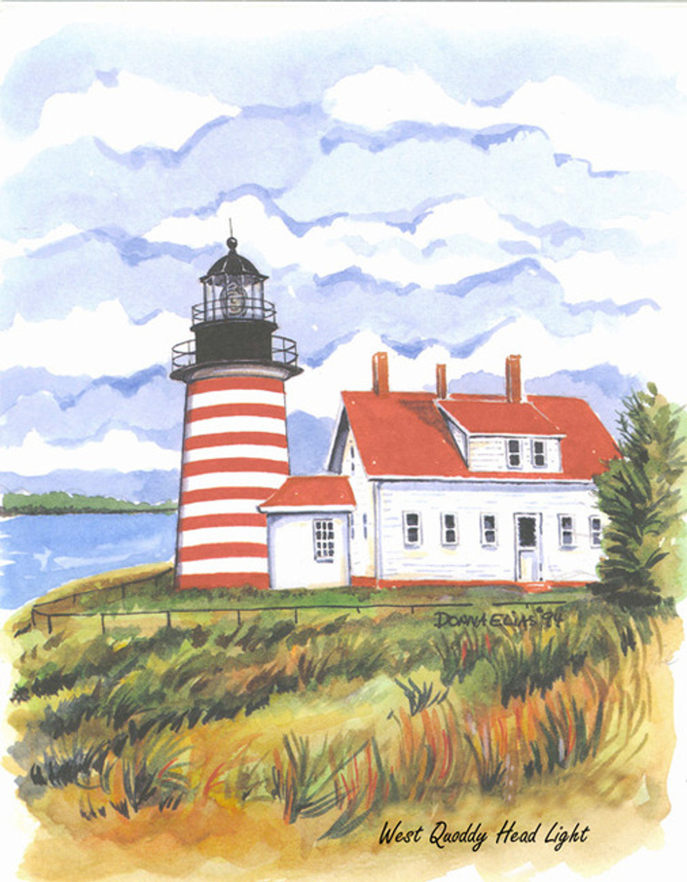 West Quoddy Hill Lighthouse copyright Donna Elias