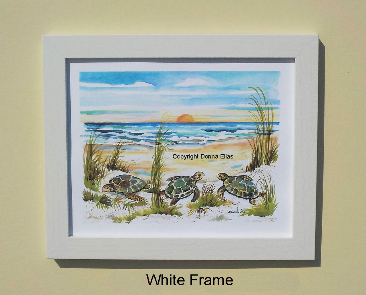 Turtles Three framed in White - copyright Donna Elias