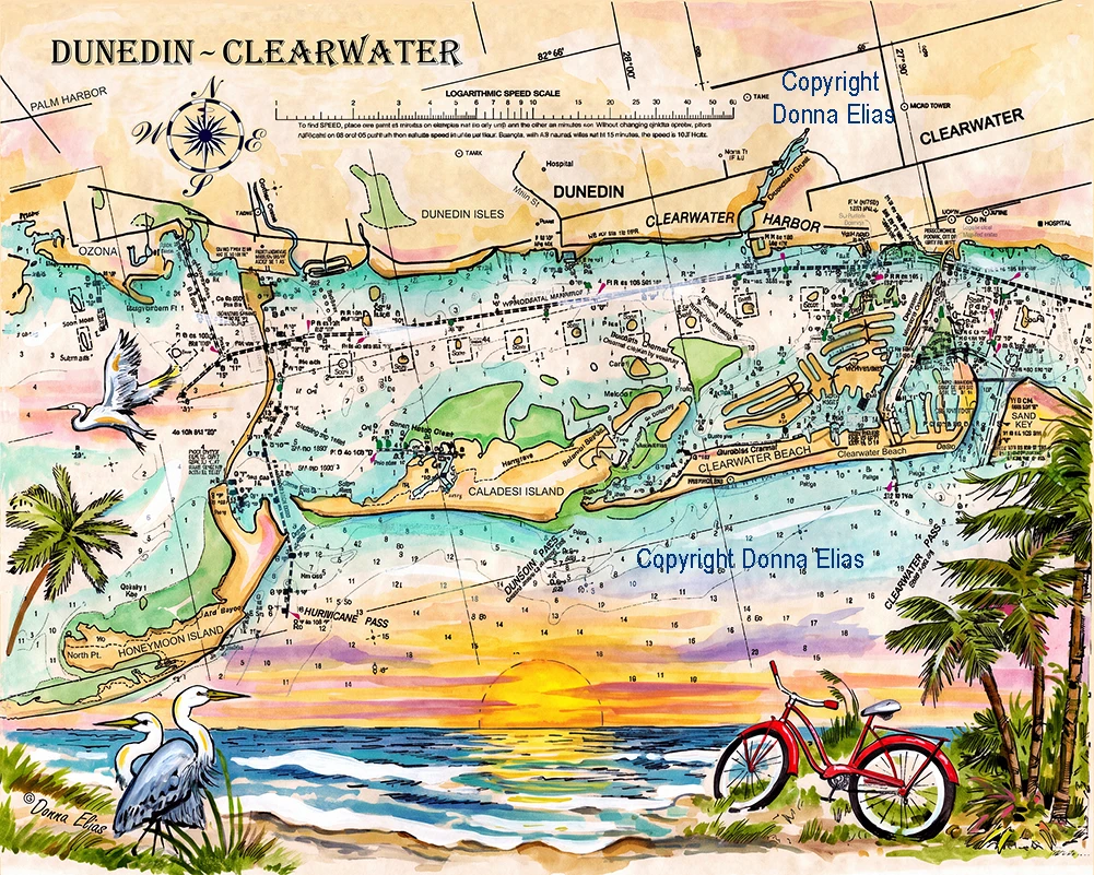 Charting Dunedin & Clearwater II copyright Donna Elias