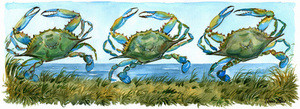 Dancing Crabs Donna Elias Studios, LLC