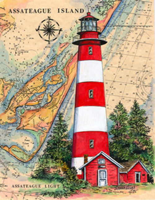 Assateaque Island Lighthouse by Donna Elias