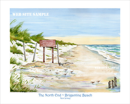 The North End - Brigantine Beach copyright Donna Elias.