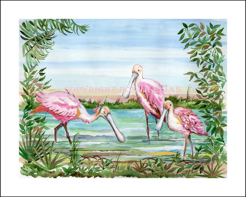 Roseate Spoonbills copyright Donna Elias