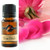 rose petals fragrance oil